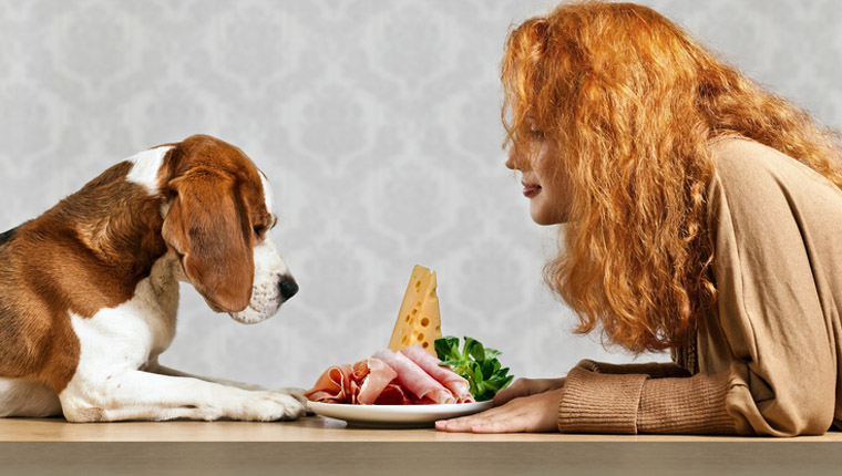 Can Dogs Eat Hum